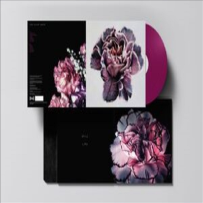 Slow Show - Still Life (Ltd)(Colored LP)