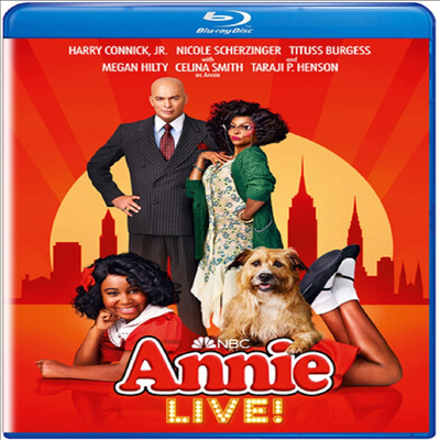 Annie Live (애니 라이브)(한글무자막)(Blu-ray)(Blu-Ray-R)