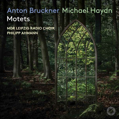 M.하이든 &amp; 브루크너: 모테트 (Michael Haydn &amp; Bruckner: Motets) (SACD Hybrid) - Philipp Ahmann