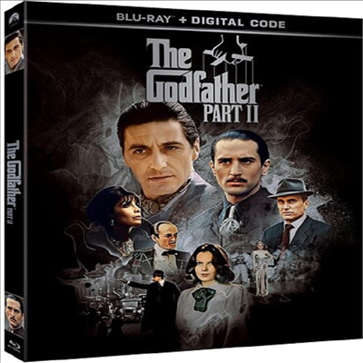 Godfather Part II (대부 2)(한글무자막)(Blu-ray)