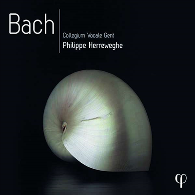 필립 헤레베헤 - 바흐 (Philippe Herreweghe - BACH )(10CD Boxset)(CD) - Philippe Herreweghe