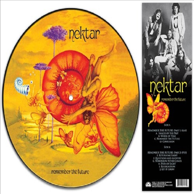 Nektar - Remember The Future (Ltd)(Picture Disc)(LP)