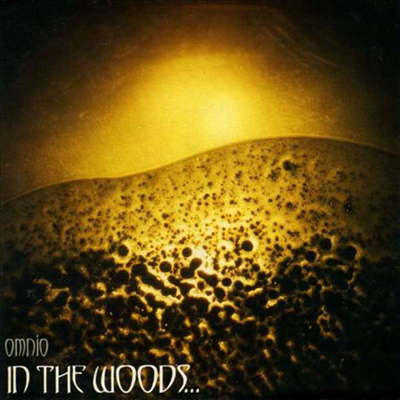 In The Woods... - Omnio (Digipack)(CD)