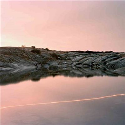 Cassandra Jenkins - (An Overview On) An Overview On Phenomenal Nature (Vinyl LP)