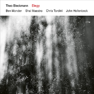 Theo Bleckmann - Elegy (Ltd. Ed)(SHM-CD)(일본반)