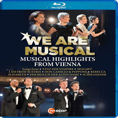 비엔나 뮤지컬 하이라이트 (We Are Musical - Musical Highlights From Vienna) (한글자막)(Blu-ray)(2022) - 여러 아티스트