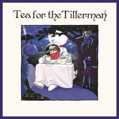 Yusuf (Cat Stevens) - Tea For The Tillerman 2 (CD)