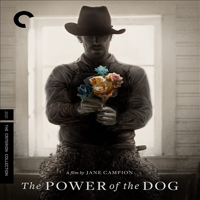 Power Of The Dog (파워 오브 도그)(지역코드1)(한글무자막)(DVD)