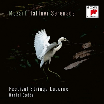 모차르트: 세레나데 7번 &#39;하프너&#39; (Mozart: Serenade No.7 &#39;Haffner&#39;)(CD) - Daniel Dodds