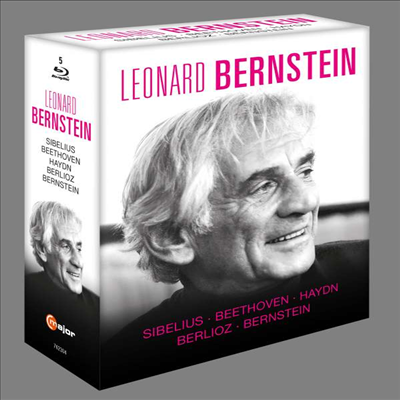 레너드 번스타인 박스 세트 (Leonard Bernstein, Vol.2) (한글자막)(5Blu-ray) (2022)(Blu-ray) - Leonard Bernstein