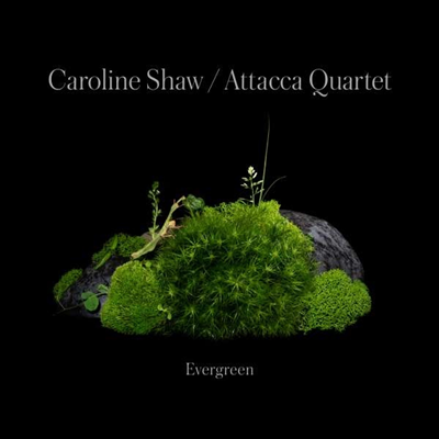 Caroline Shaw: Evergreen (CD) - Caroline Shaw & Attacca Quartet