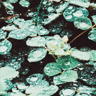 Sadness - Rain Chamber (CD)