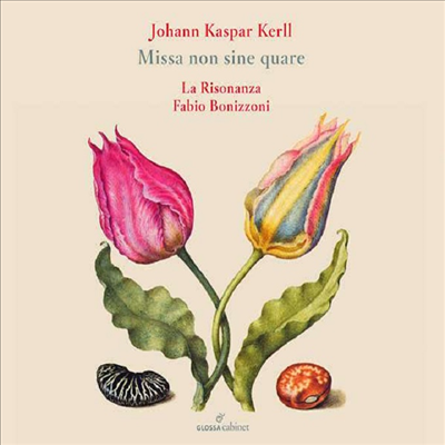 케를: 미사 &#39;논 시네 쿠아레&#39; (Kerll: Missa Non Sine Quare)(CD) - Fabio Bonizzoni