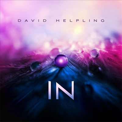 David Helpling - In (2LP)