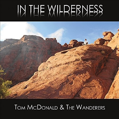 Wanderers - In The Wilderness (CD-R)