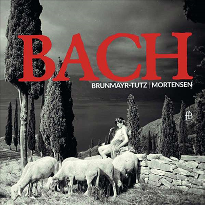 바흐: 플루트 소나타 &amp; 파르리(Bach: Flute Sonatas &amp; Partita)(CD) - Linde Brunmayr-Tutz