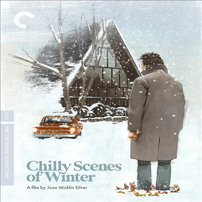 Chilly Scenes of Winter (The Criterion Collection) (칠리 신즈 오브 윈터) (Mono)(한글무자막)(Blu-ray)
