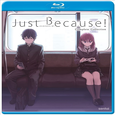 Just Because (저스트 비코즈) (2017)(한글무자막)(Blu-ray)