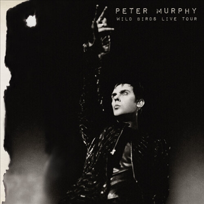 Peter Murphy - Wild Birds Live Tour (Gatefold)(Purple &amp; Black 2LP)