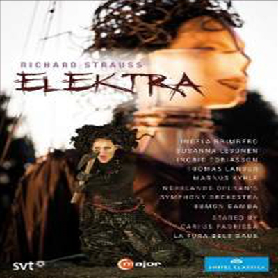 R.슈트라우스: 오페라 '엘렉트라' (R.Strauss: Opera 'Elektra') (한글자막)(DVD) (2015) - Rumon Gamba