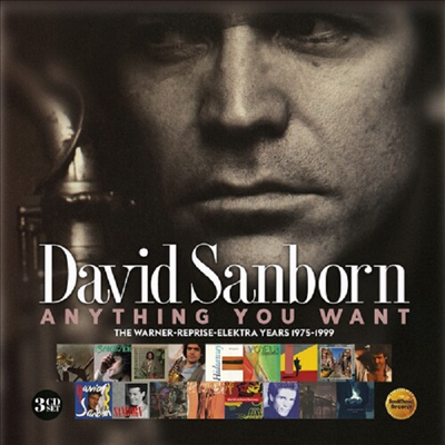 David Sanborn - Anything You Want: Warner / Reprise / Elektra Years (1975-1999) (Digipack)(3CD)