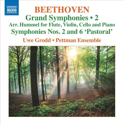 베토벤: 교향곡 2 & 6번 '전원' - 실내악반 (Beethoven: Grand Symphonies, Vol.2 Nos.2 & 6 'Pastoral' - arranged by Hummel for Flute, Violin, Cello and Piano)(CD) - Uwe Grodd