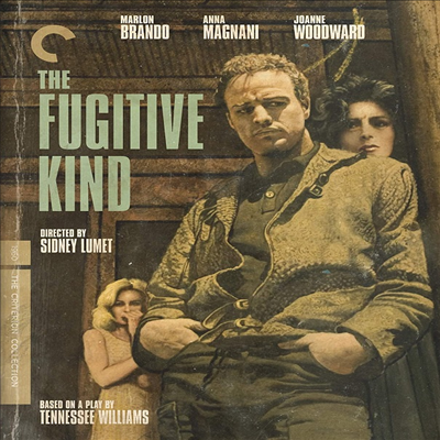 The Fugitive Kind (The Criterion Collection) (퍼기브 카인드) (1960)(한글무자막)(Blu-ray)