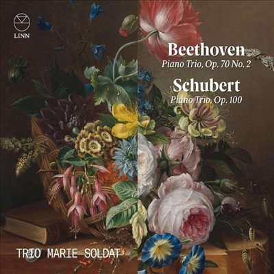 베토벤 &amp; 슈베르트: 피아노 삼중주 (Beethoven &amp; Schubert: Piano Trio)(CD) - Trio Marie Soldat