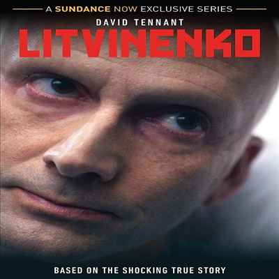 Litvinenko (리트비넨코) (2022)(지역코드1)(한글무자막)(DVD)