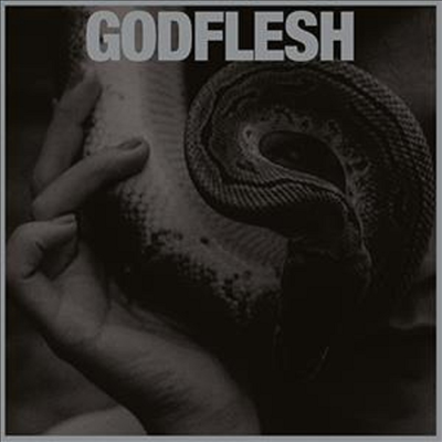 Godflesh - Purge (LP)