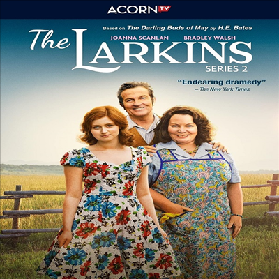 The Larkins: Series 2 (더 라킨스: 시리즈 2) (2022)(지역코드1)(한글무자막)(DVD)