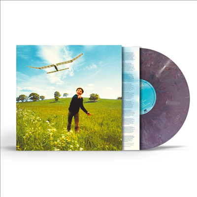 James Blunt - Who We Used To Be (Ltd)(Recycled Colored LP)