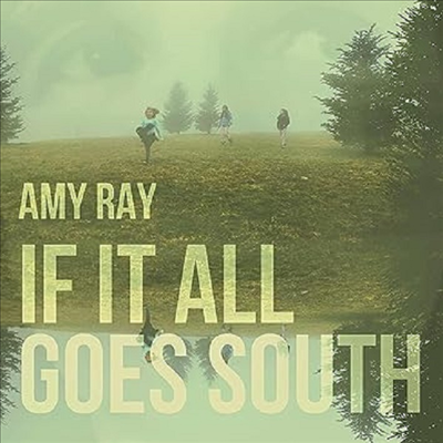 Amy Ray - If It All Goes South (Vinyl LP)