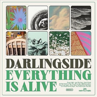 Darlingside - Everything Is Alive (Vinyl LP)