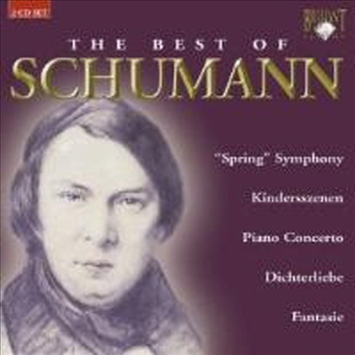 베스트 오브 슈만 (The Best Of Schumann) (2 For 1) - 여러 연주가