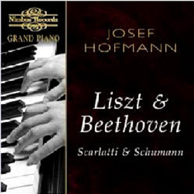 요셉 호프만 - 리스트 : 헝가리안 랩소디, 사랑의 꿈, 베토벤 : 피아노 소나타 (Josef Hofmann - Liszt : Hungarian Rhapsody, Liebestraum, Beethoven : Piano Sonata Op.2)(CD) - Josef Hofmann
