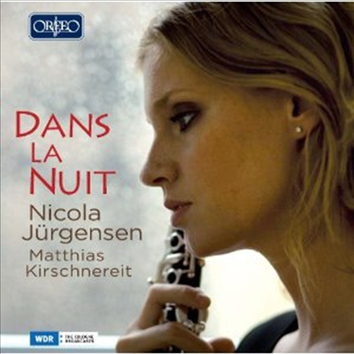 한밤의 클라리넷 - 낭만적인 클라리넷 음악들 (Dans la Nuit - Romantic Clarinet Music)(CD) - Nicola Jurgensen