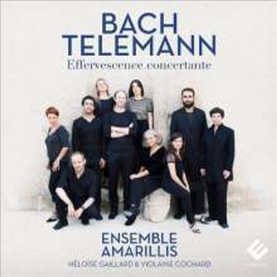 아마릴리스 앙상블 - 바흐, 텔레만 협주곡집 (Bach &amp; Telemann - Concertos)(CD) - Ensemble Amarillis