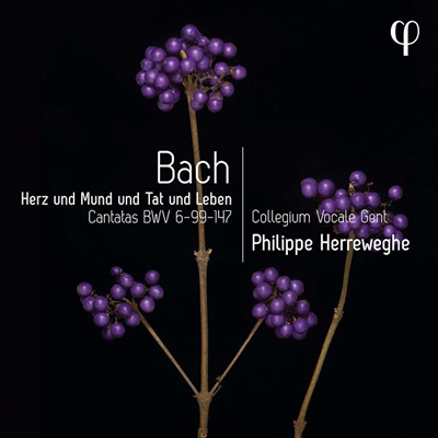 바흐: 칸타타 (Bach: Cantatas BWV 6, 99 & 147)(CD) - Philippe Herreweghe