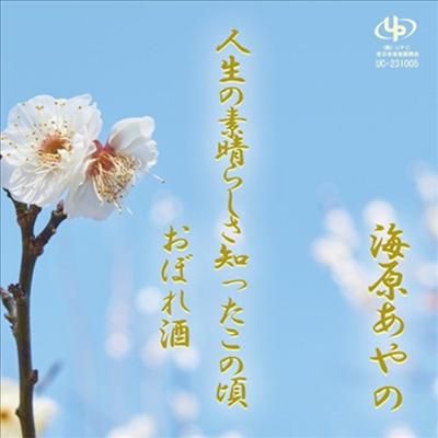 Umihara Ayano (우미하라 아야노) - 人生の素晴らしさ知ったこの頃/おぼれ酒 (CD)