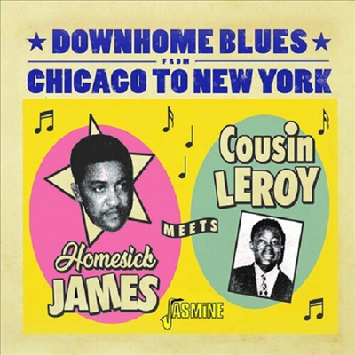 Homesick James Meets Cousin Leroy - Downhome Blues From Chicago To New York (CD)