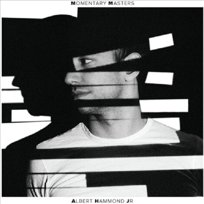 Albert Hammond Jr.(The Strokes) - Momentary Masters (LP)