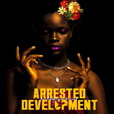 Arrested Development - Don't Fight Your Demons (2LP)