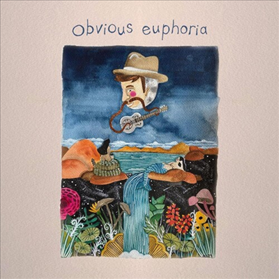 Matt Mitchell Music Co. - Obvious Euphoria (LP)