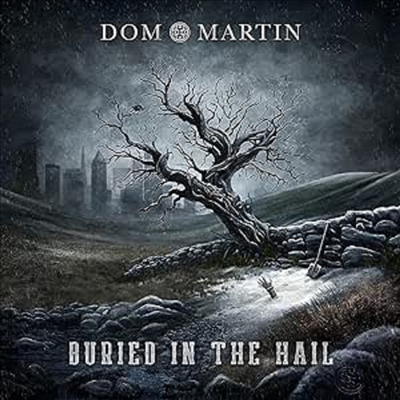 Dom Martin - Buried In The Hail (CD)