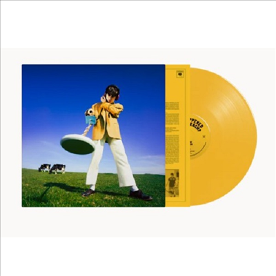 Declan Mckenna - What Happened To The Beach (Ltd)(Colored LP)