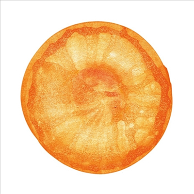 Fishmans (피쉬만즈) - 宇宙 Best Of Fishmans (Clear Orange Vinyl 2LP) (생산한정반)