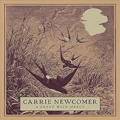 Carrie Newcomer - Great Wild Mercy (CD)