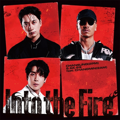 찬성 (Chansung) &amp; AK-69 Feat. 창민 (Changmin) - Into The Fire (CD)