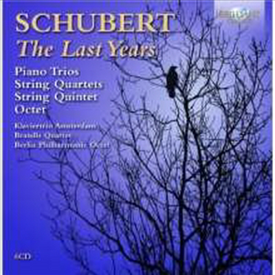 슈베르트: 말년의 실내악 작품집 (Schubert: Last Year Chamber Works) (6CD Boxset) - Berlin Philharmonic Octet